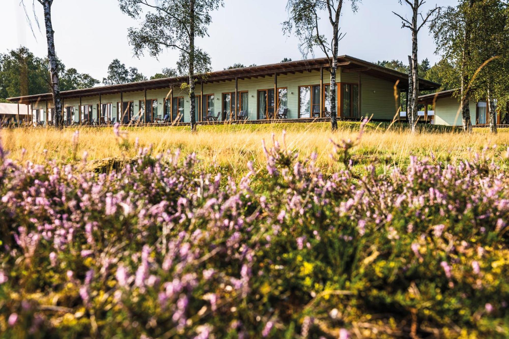 Hotelcamp Reinsehlen Schneverdingen Buitenkant foto