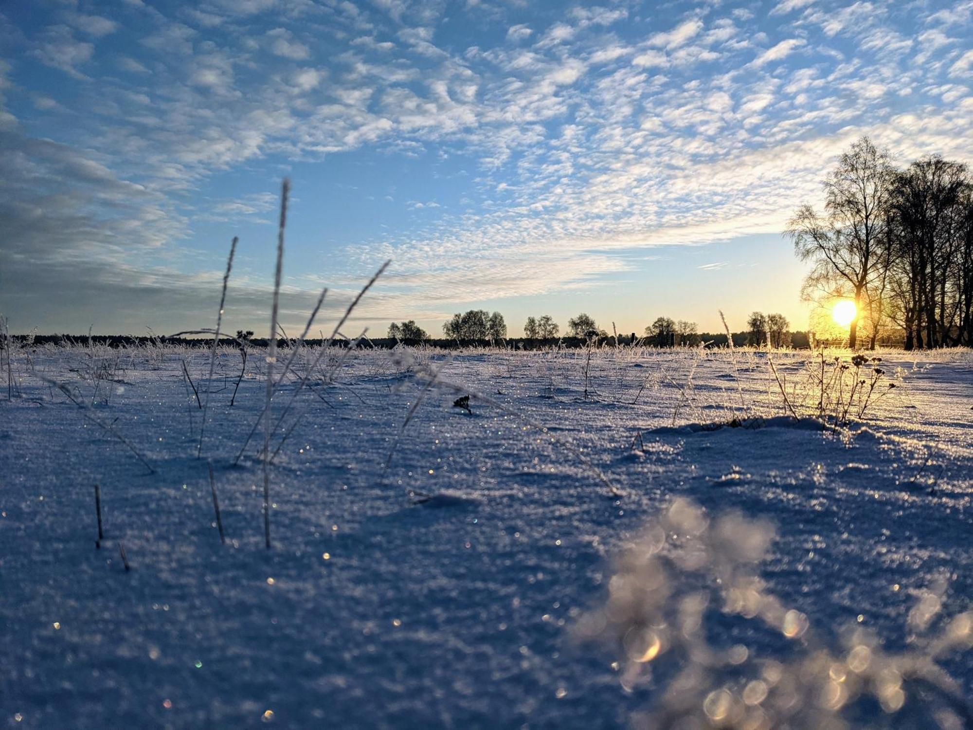 Hotelcamp Reinsehlen Schneverdingen Buitenkant foto