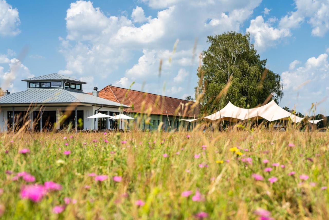 Hotelcamp Reinsehlen Schneverdingen Buitenkant foto